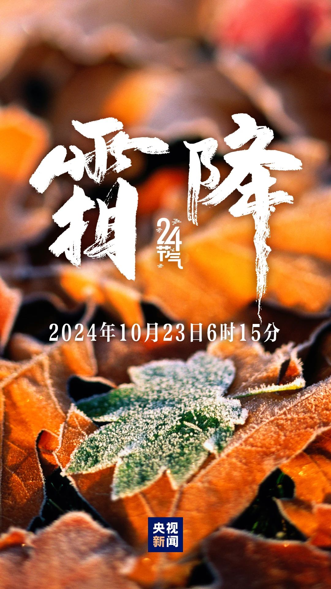秋季最后一個節(jié)氣，來了